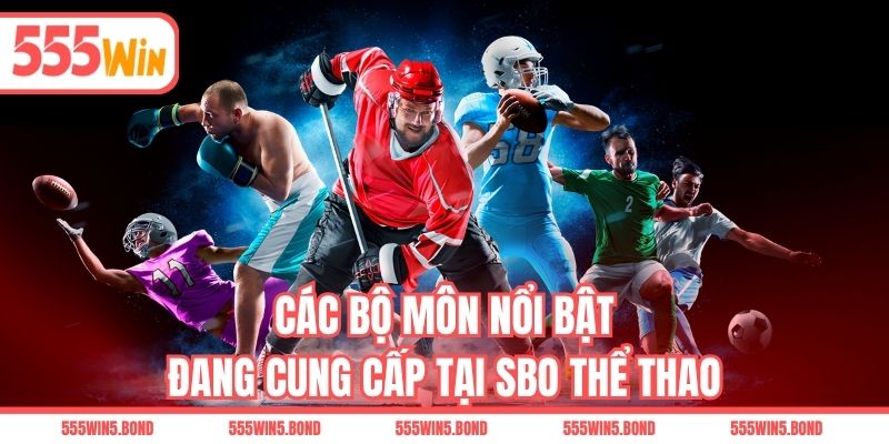 Các bộ môn nổi bật đang cung cấp tại SBO thể thao