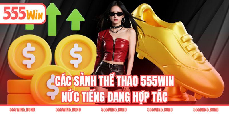 Các sảnh thể thao 555WIN nức tiếng đang hợp tác