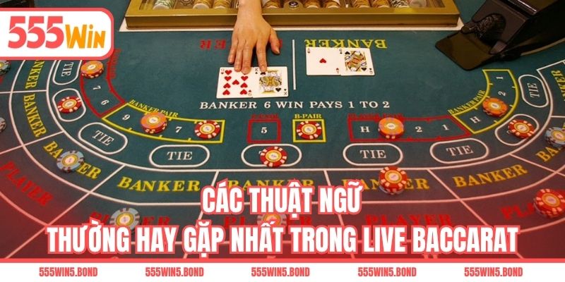 Các thuật ngữ thường hay gặp nhất trong Live Baccarat