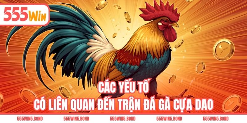 Các yếu tố có liên quan đến trận đá gà cựa dao