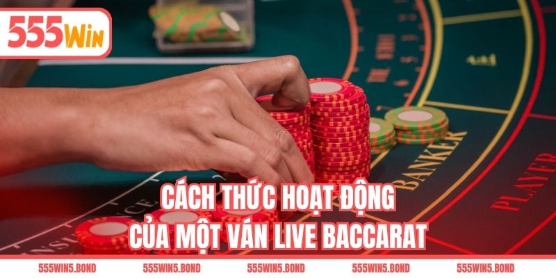 Cách thức hoạt động của một ván Live Baccarat