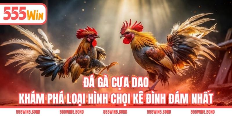 Đá Gà Cựa Dao - Khám Phá Loại Hình Chọi Kê Đình Đám Nhất