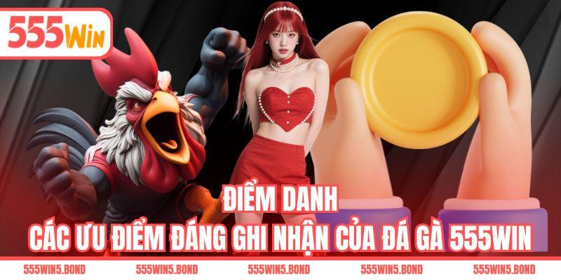 Điểm danh các ưu điểm đáng ghi nhận của đá gà 555WIN