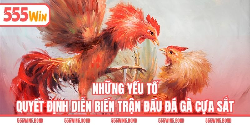 Những yếu tố quyết định diễn biến trận đấu đá gà cựa sắt