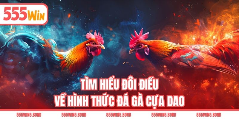 Tìm hiểu đôi điều về hình thức đá gà cựa dao