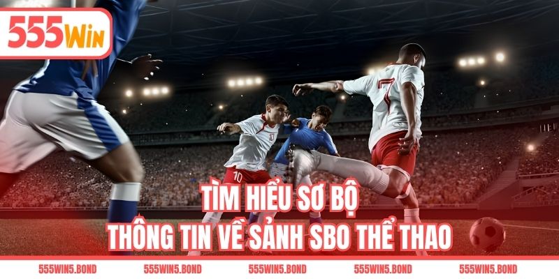 Tìm hiểu sơ bộ thông tin về sảnh SBO thể thao