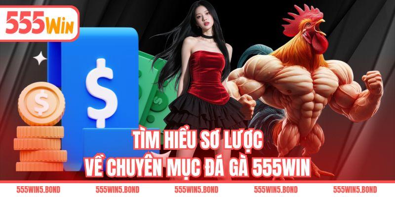 Tìm hiểu sơ lược về chuyên mục đá gà 555WIN